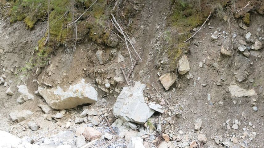 Fundort der Vermissten. Foto: Kapo