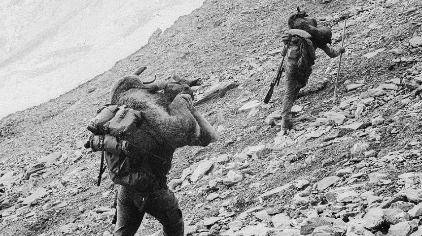 Exponat aus der Jagdausstellung im Sils Museum. Foto: Ester Vonplon