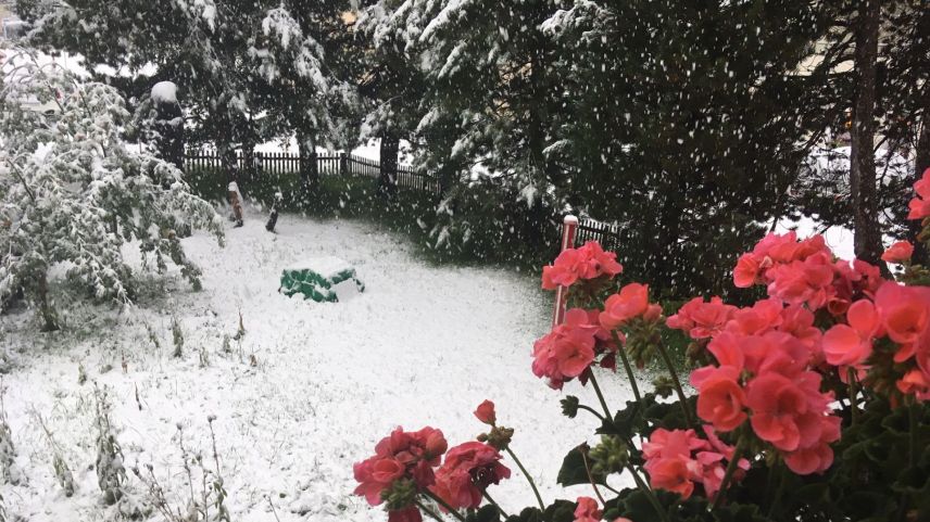 Schnee bis in die Tallagen: Der kommende Winter kündigt sich an. Foto: Daniel Zaugg