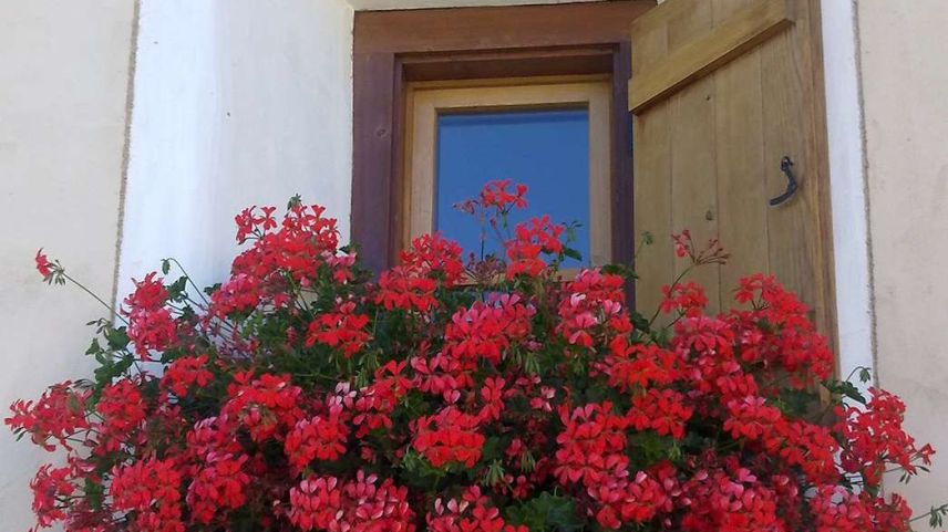 Per tgnair ils granis sur on nu stuvessna survgnir la dschetta (fotografia: Annatina Filli).