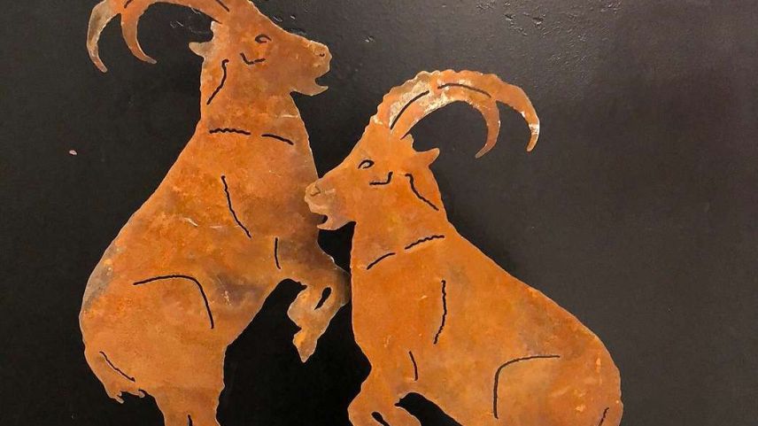 Ingon cumainzan divers nouvs ciclus in l’insaina dal capricorn (fotografia: Silvia Ammann).