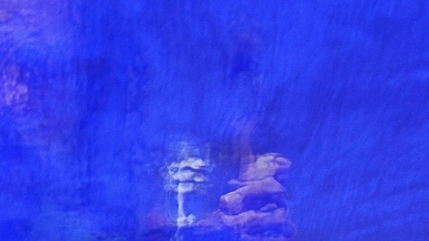 Und aus der Tiefe, aus der dunkelsten Ecke ihrer selbst, hörte sie das Wasser rauschen.