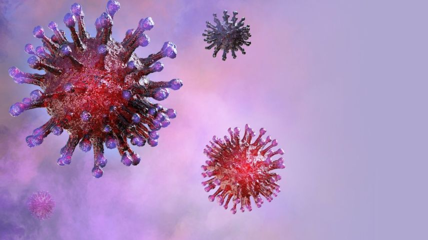 Foto: shutterstock/borealisstudio