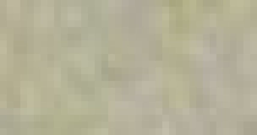 Elisabeth Laichinger (rechts) und Thomas Strittmatter (an der Kasse) haben den Senioren-Einkauf ins Leben gerufen.