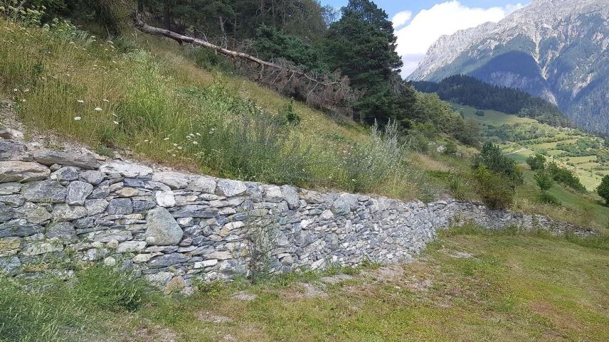 Dürant ils ultims dis esa gnü cloccà e lovà bler per refar darcheu il mür sech sur Ramosch (fotografia: Benjamin Keller).