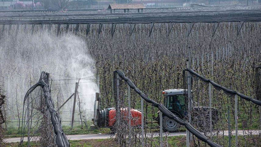 Archivfoto: Mayk Wendt