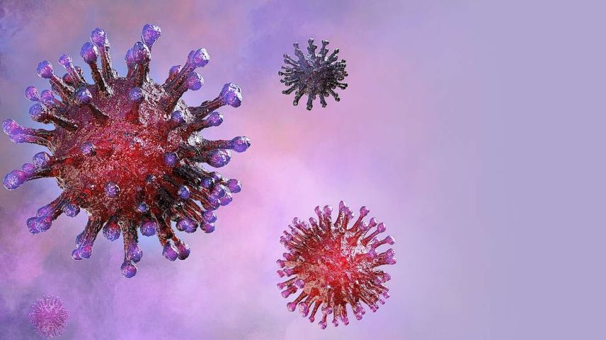 Foto: www.shutterstock.com/Corona Borealis Studio