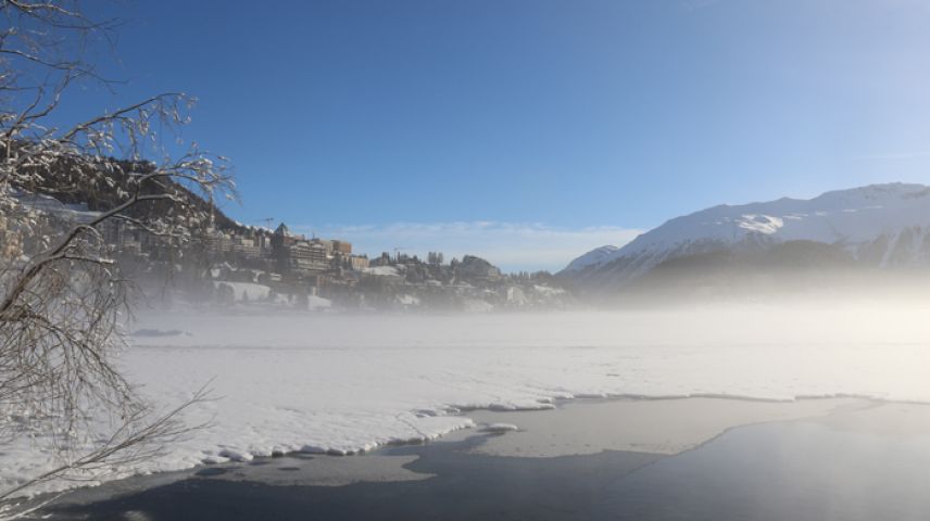 Foto: Evelyn Priscilla Brunner 