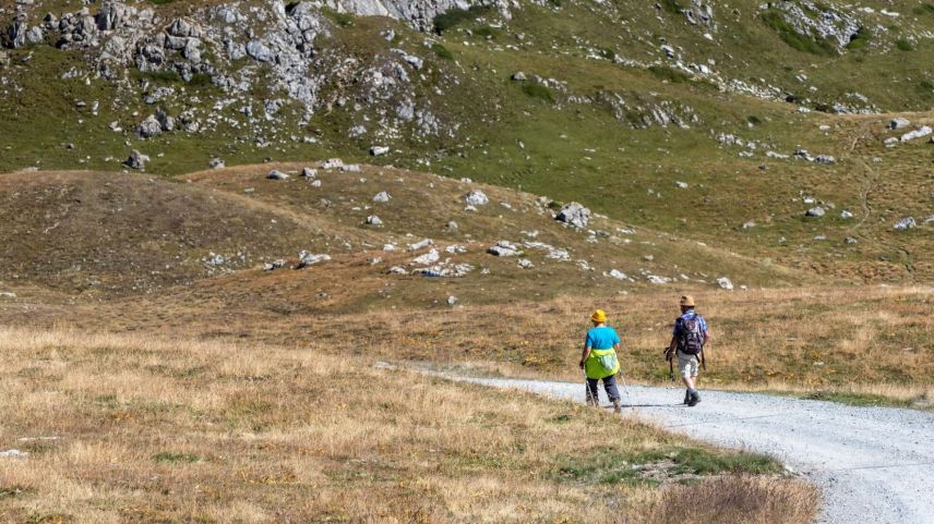 In der Natur sollen sich diesen Sommer coronamüde Touristen erholen. St. Moritz und die Region haben diesbezüglich viel zu bieten. Foto:  Daniel Zaugg