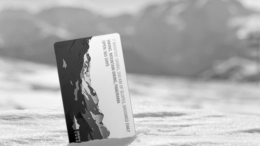 Foto: shutterstock.com/Konrad Mostert – Montage: Engadiner Post