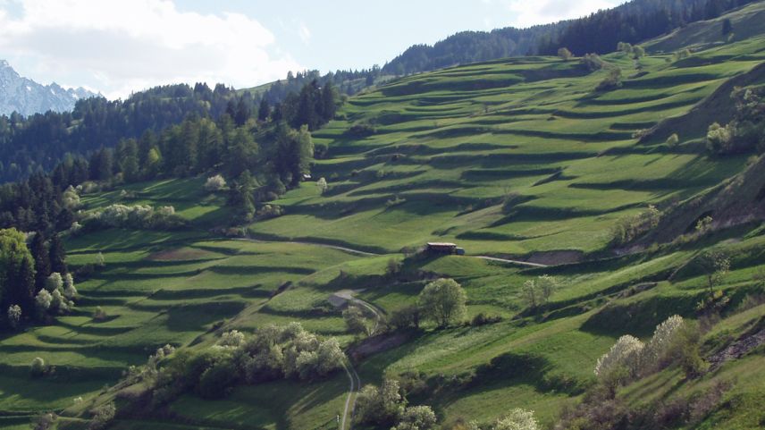 Terrassas sco qua quellas da Tschlin dan structura a la cuntrada cultivada (fotografia: Flurin Andry).