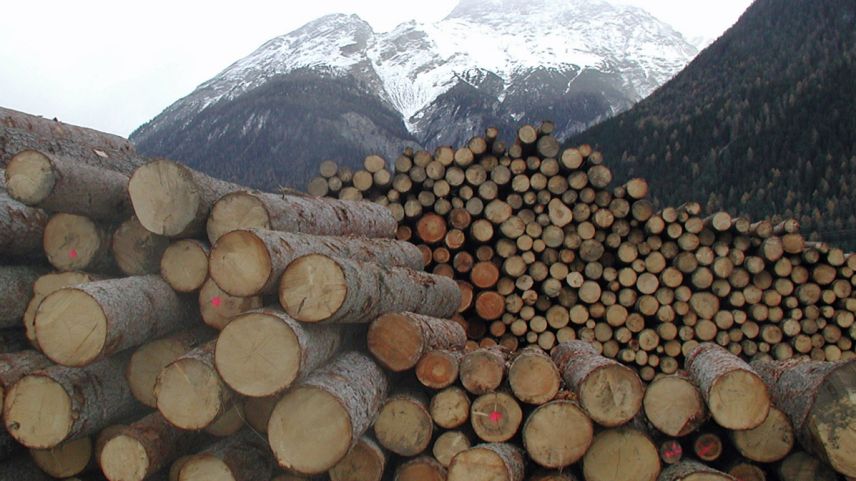 Eir scha la dumonda per laina para da crescher sun ils predschs per laina in Engiadina Bassa amo adüna bass (fotografia: Flurin Andry).