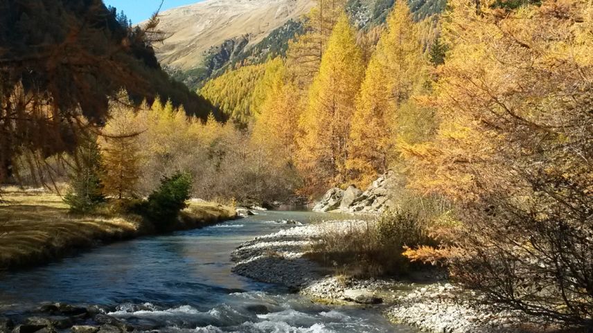 Dad ir a pes-char, in flüms o lais sco per exaimpel illa Val Susasca, dess esser tenor Nicola Gaudenz, guardgiapes-cha regiunal, in prüma lingia il giodimaint da l’evenimaint. Il butin saja il punct sül i dal hobi (fotografia: Nicola Gaudenz).