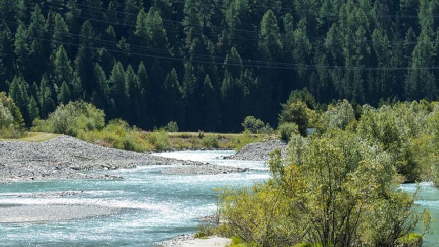 Foto: Katharina von Salis