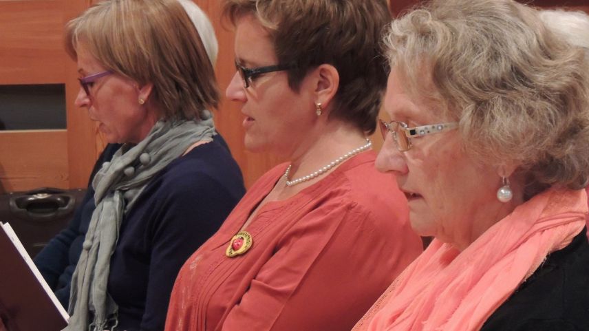 Ils referats illa sala polivalenta a Lavin sun per gronda part bain visitats (fotografia: Benedict Stecher).