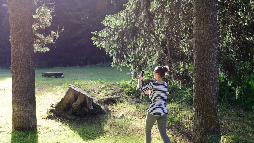 Foto: Alexandra Wohlgensinger