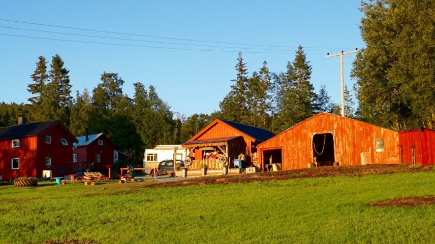 Die Farm im späten Abendlicht. Fotos: Reto Stifel