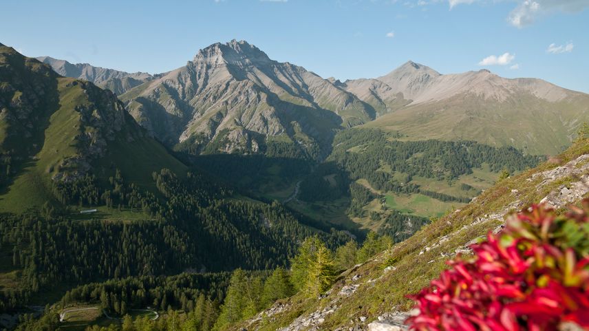 La «Via Natürala» collia las differentas vals, qua la Val Sinestra, da la regiun da vacanzas Engiadina Bassa Val Müstair (fotografia: Andrea Badrutt).