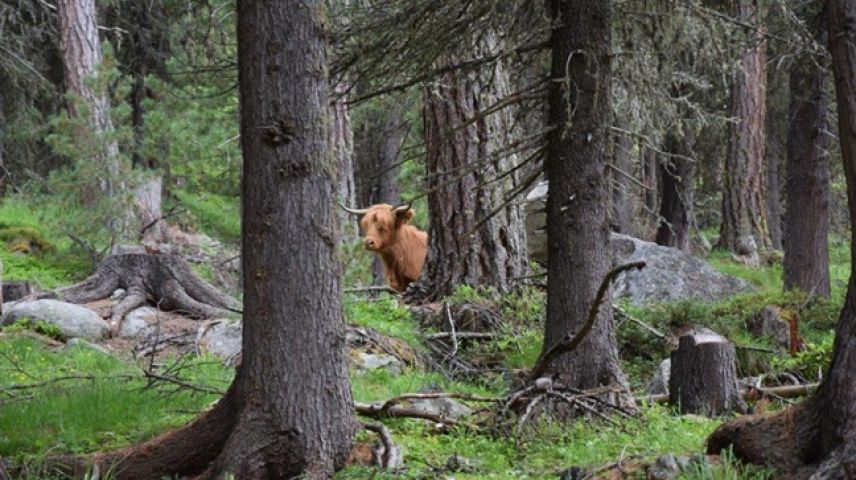 Foto: Kantonspolizei Graubünden