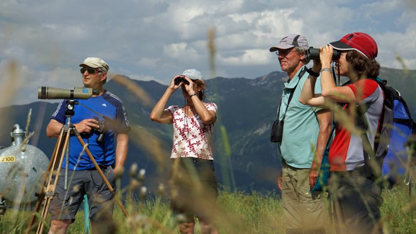 A chaschun da las excursiuns suot l’insaina da la diversità pon ils interessats observar il möd da lavurar dals perits (fotografia: Niculin Meyer).