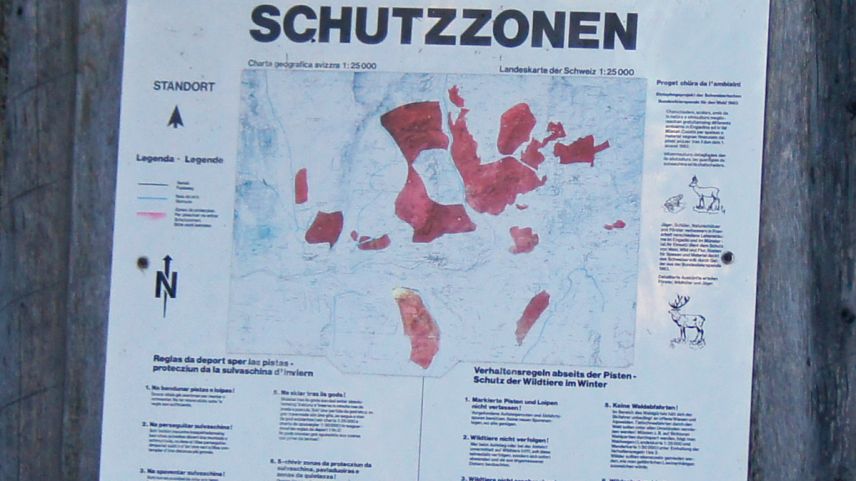 Foto: Jon Duschletta