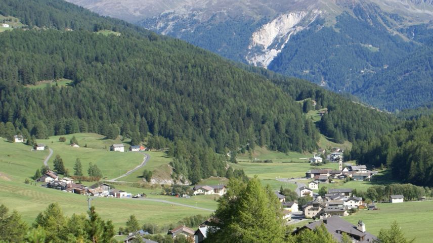 In Val Müstair vain investi quist on passa 1,5 milliun francs in progets forestals (fotografia: Cumün da Val Müstair ). 