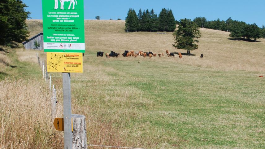 Foto: Bundesamt für Unfallverhütung in der Landwirtschaft BUL
