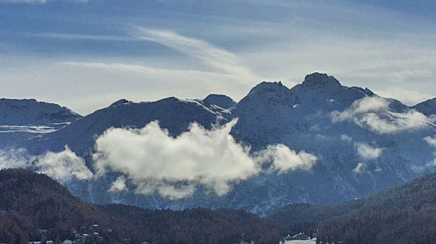 Bild: Ruth Spitzenpfeil