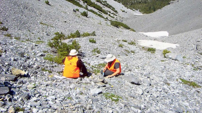 Forschende der Universität Basel bei der Entnahme von Proben auf dem Blockgletscher in der Val Sassa. Foto: z. Vfg