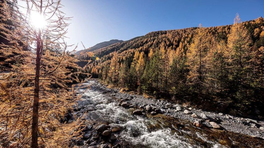 Viele Gäste bezahlen freiwillig einen Beitrag, um den Co2-Fussabdruck zu reduzieren und dazu beitragen zu können, Natur und Landschaft langfristig zu sichern (Foto: Andrea Badrutt).