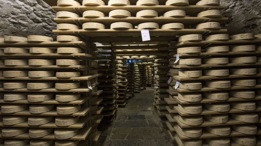 Bezeichnend für Chiavenna sind die Lagerhöhlen, "Crotti" genannt. Foto: Valchiavenna Turismo