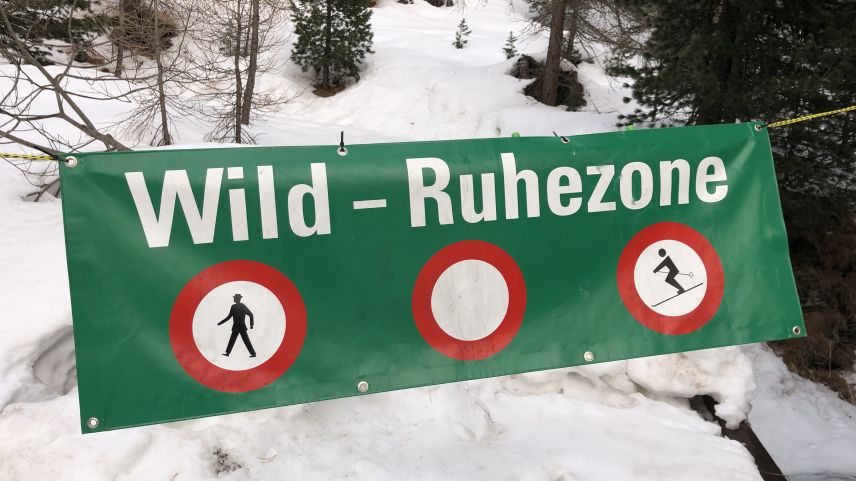 Wer im Winter dieses Banner beim Forsthof in Sils missachtet, tut dem Wild keinen Gefallen. Foto: Marie-Claire Jur