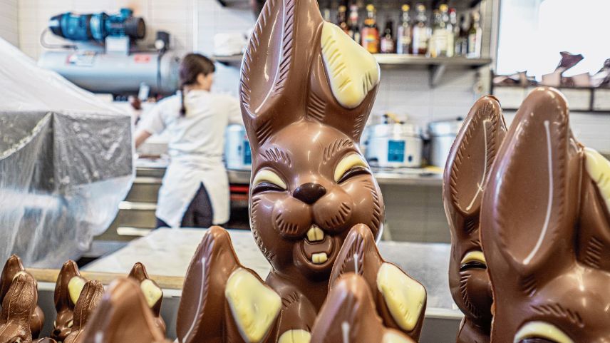 Sieben verschiedene Hasentypen in unterschiedlichen Grössen werden in der Confiserie von Hanselmann in St. Moritz gegossen. 