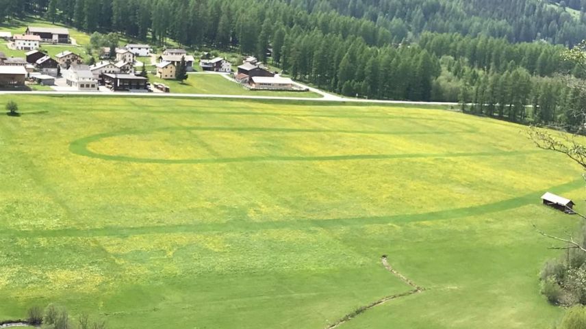 Las loipas retardan da prümavaira il cresch da l’erba (fotografia: Riet Caflisch).