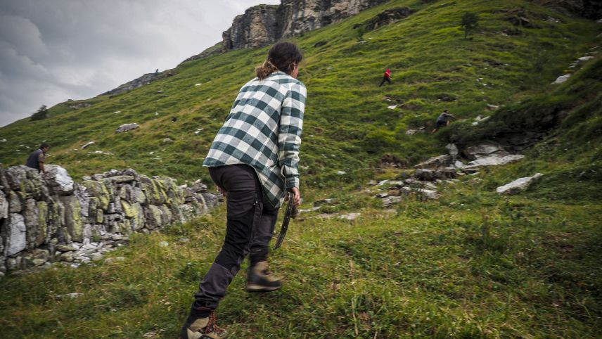 Die Hirtin lägt täglich mehrere Kilometer und Höhenmeter zurück. Neben gefährlichen Zäunungsarbeiten am Hang und widerspenstigen Schafen hat die junge Frau auch mit einem anderen Vierbeiner zu kämpfen: Dem Wolf. Er hat bereits ein Tier gerissen. 