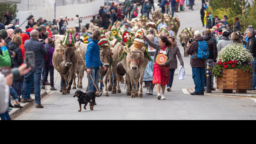 Foto: Daniel Zaugg