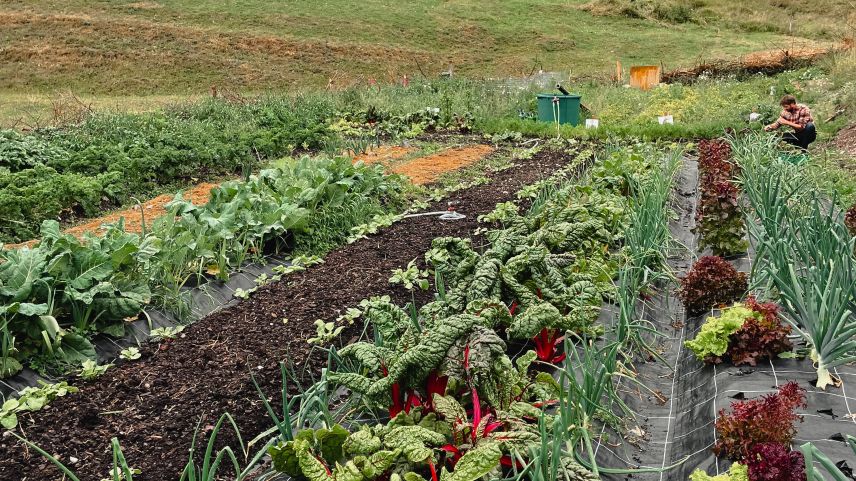 Der Hauser Garden setzt mit seiner Permakultur auf ein nachhaltiges Gemüseangebot. Für die Optimierung ist der Bau von zwei kleinen Gewächshäusern geplant. Das ermöglicht dem Hotel, bereits im Frühling Setzlinge zu ziehen.					Fotos: z. Vfg