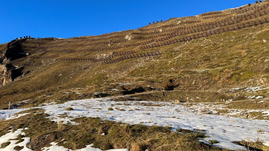 L’areal culs repars da lavina sü Munt da Lü, suot il Muntet, vain evaluà sco ün lö pussibel per ün implant solar plü grond in Val Müstair (fotografia: David Truttmann).