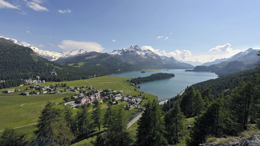 Las radschuns cha la populaziun da peschs i’ls lejs engiadinais s’ho diminuida per var duos terz nu sun auncha sclaridas (fotografia: Rolf Canal).