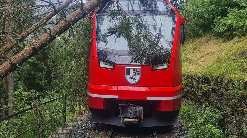 Baumwurf zwischen Ardez und Scuol. Foto: RhB. 