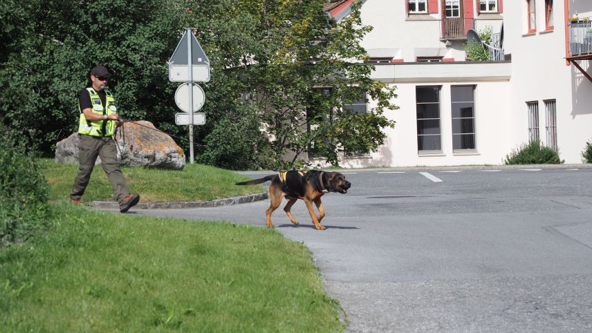 Bluthund Jason führt sein Herrchen in Richtung des Vermissten. Jeder Mensch besitzt einen einzigartigen Geruch, welcher der Hund riechen und von anderen Gerüchen differenzieren kann. Foto: Nicolas Binkert