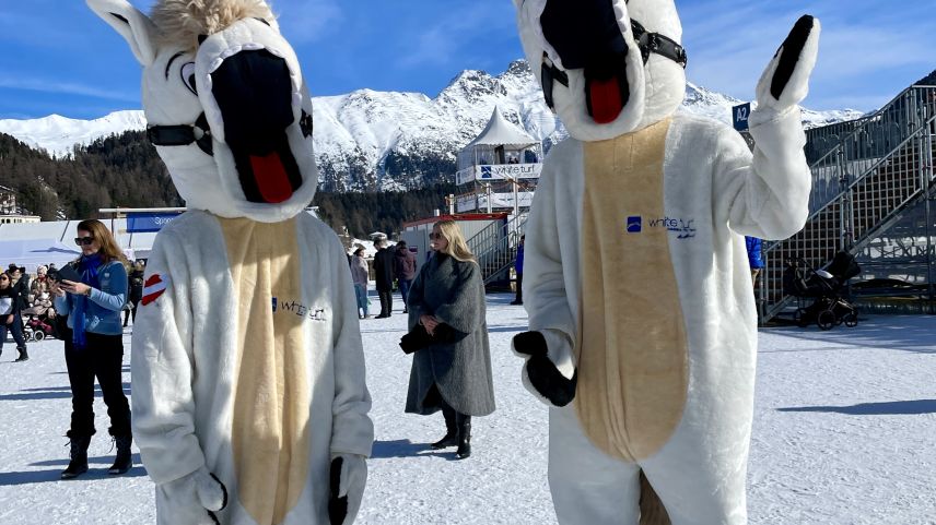 Sie sind die beliebtesten Fotosujets für Selfies. Foto: Fadrina Hofmann