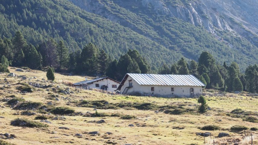 L’Alp Sprella illa Val Mora es ün dals ultims lös in Svizra cun üna natüra intacta fotografia: David Truttmann