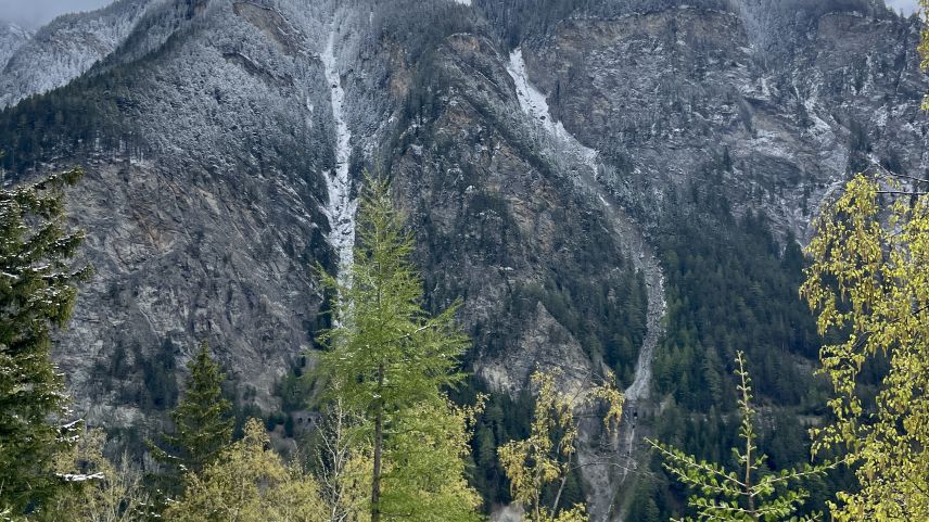 In steilen Felswänden haben Adlerpaare oftmals mehrere Horste. Foto: Fadrina Hofmann