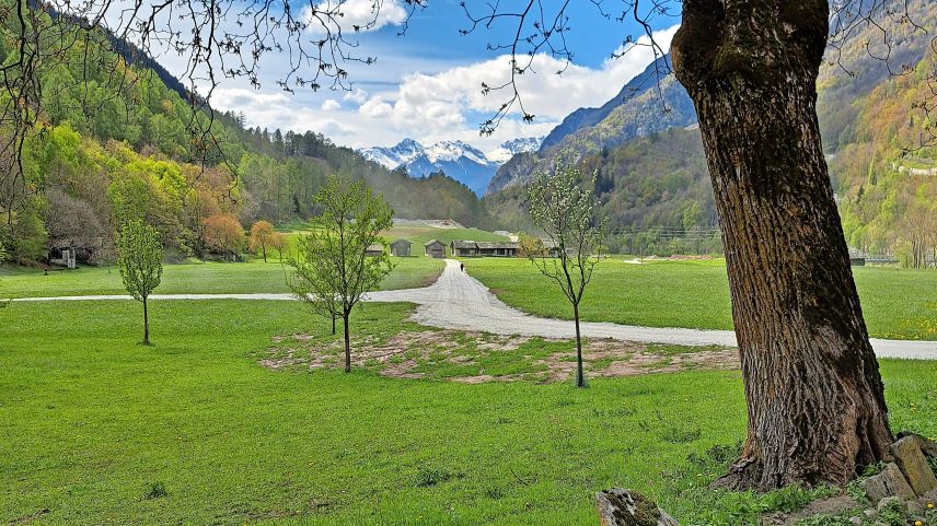 Ein Blick auf die Ebene (Caltüra) bei Bondo. Aufgenommen vor wenigen Tagen.  Foto: Jane Bihr