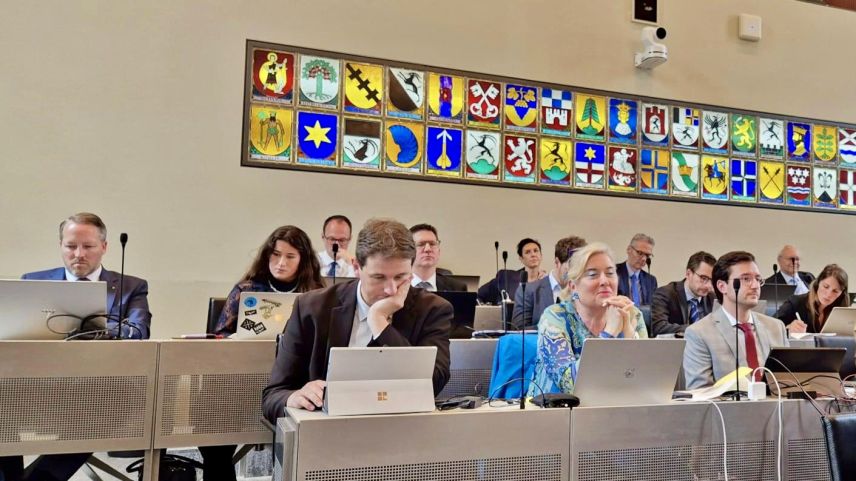 Laura Koppenberg bei der politischen Arbeit. Foto: z.Vfg.