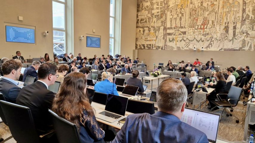 Die Perspektive von Laura Koppenberg während der Junisession. Foto: z.Vfg.