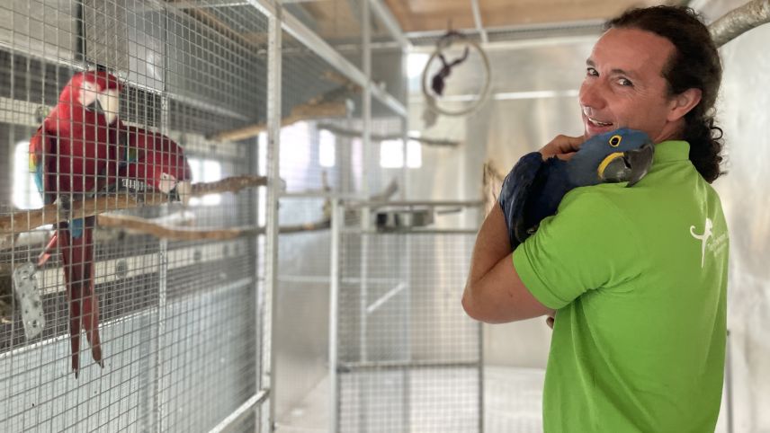 Benjamin Pfeiffer hat sein Leben den Aras gewidmet. Foto: Fadrina Hofmann