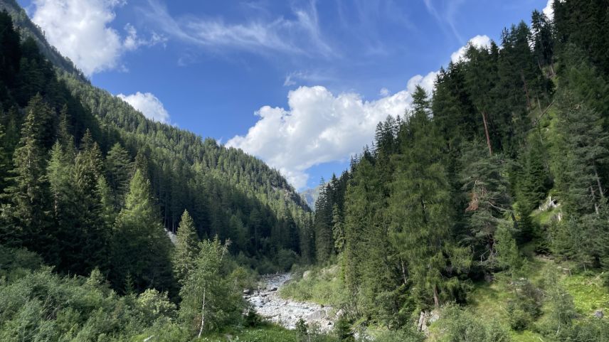 Die Branclaschlucht ist wild und unverbaut. Foto: Fadrina Hofmann