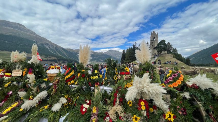 Impressionen vom Alpabzug in Celerina. Foto: Reto Stifel